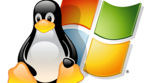 Read more about the article Como monitorar e fechar processos e programas no Linux e no Windows